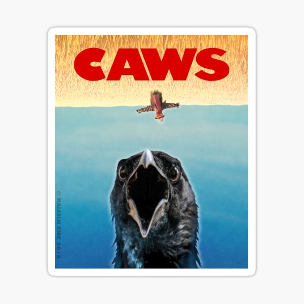 CAWS Sticker