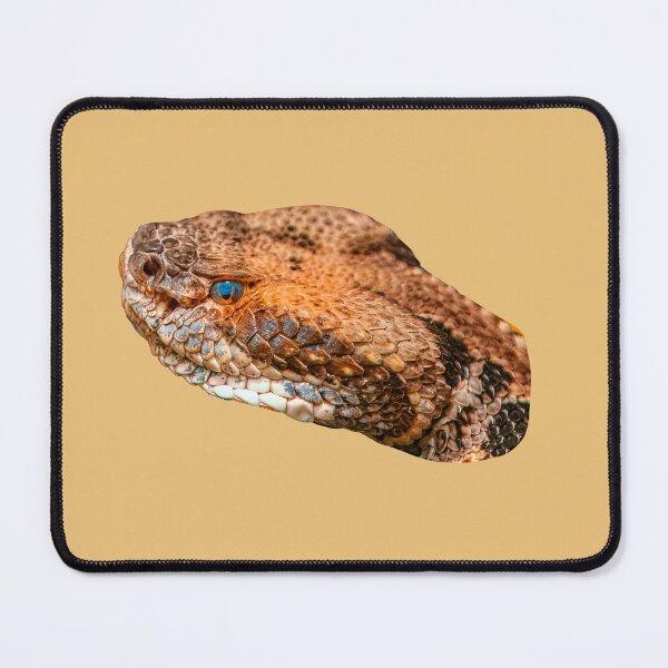 Item preview, Cane Break Rattlesnake designed and sold by Dalyndigital Photography.
