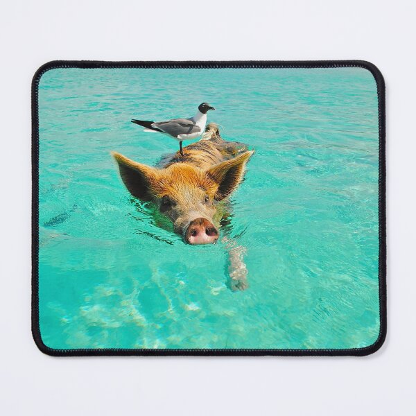 Item preview, Bird on Pig Swimming in Blue Water designed and sold by ShopJoel.