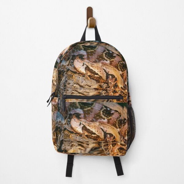 Item preview, Gaboon viper designed and sold by Dalyndigital Photography.