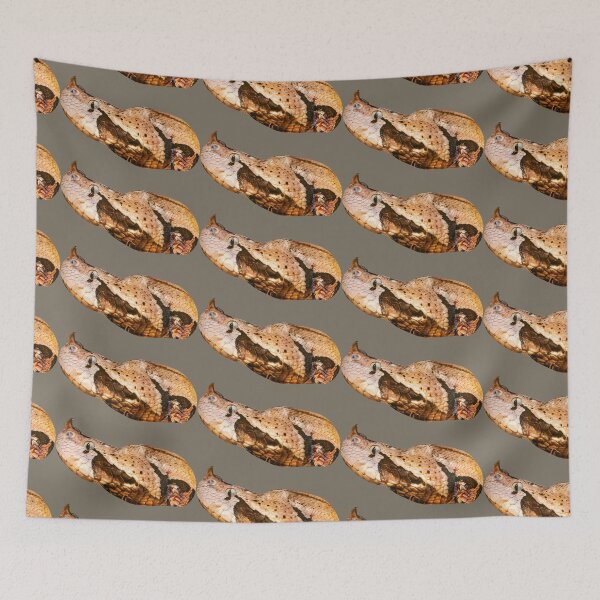 Item preview, Gaboon viper designed and sold by Dalyndigital Photography.