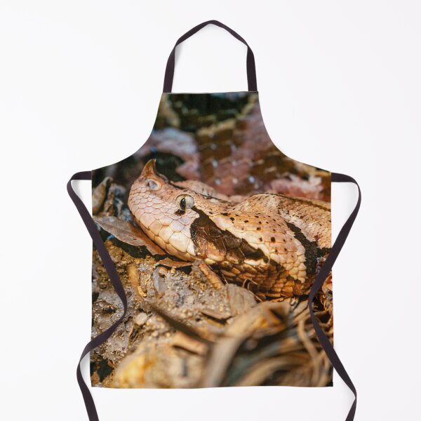 Item preview, Gaboon viper designed and sold by Dalyndigital Photography.