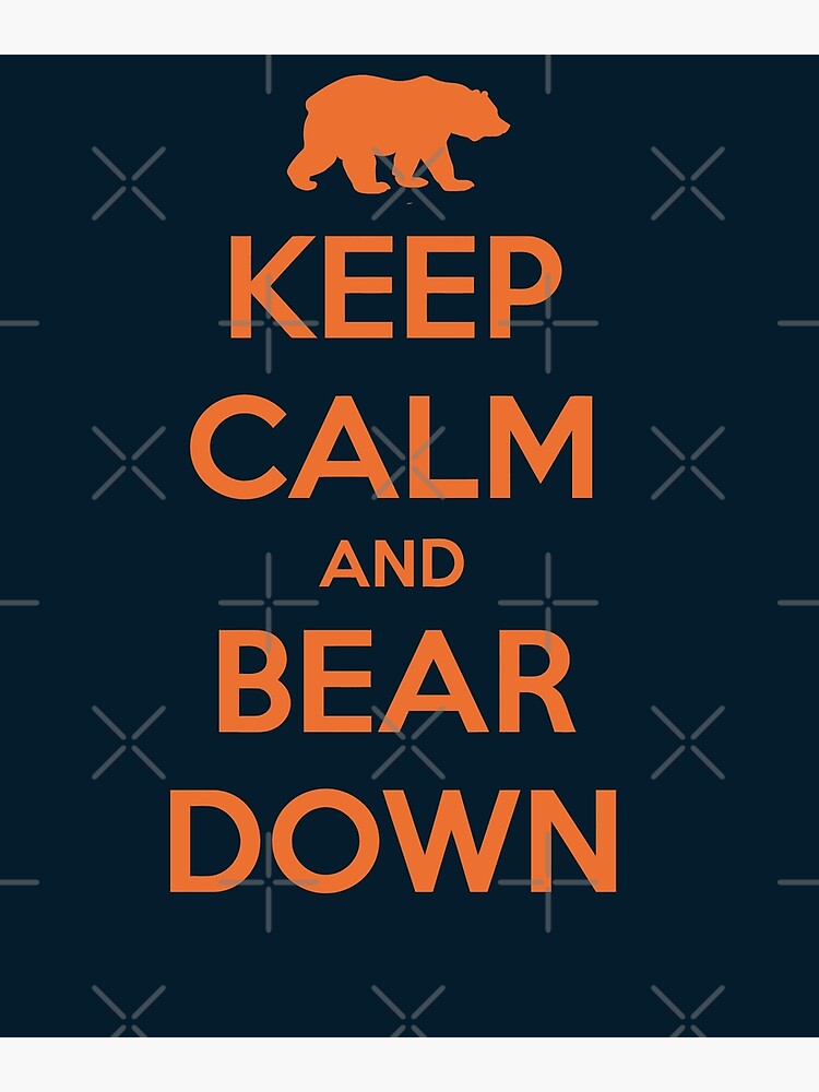 Bear Down Kids T-Shirt for Sale by Primotees