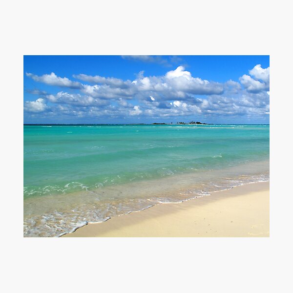 Breezy Day at Gillam Bay Photographic Print