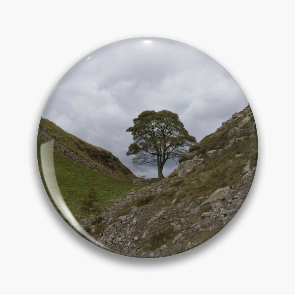 Item preview, Tree in Hadrian's wall. designed and sold by sandyprints.
