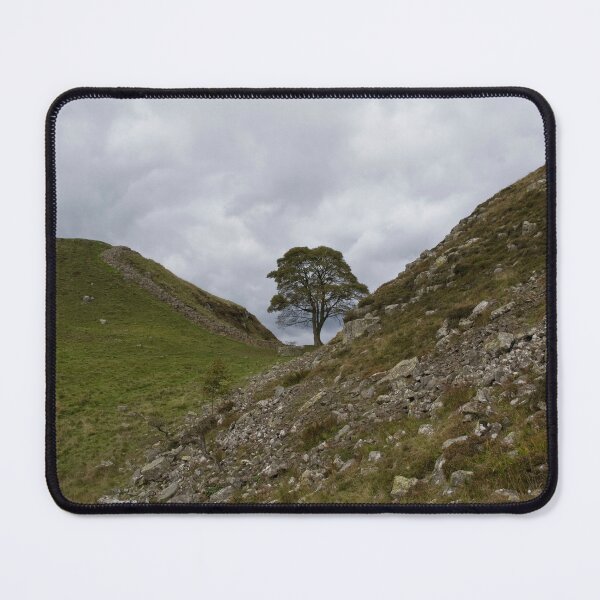 Item preview, Tree in Hadrian's wall. designed and sold by sandyprints.