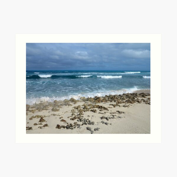 Winter Waves Art Print