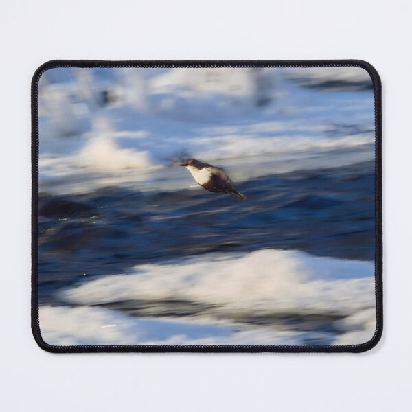 Item preview, Speed up. White-throated dipper designed and sold by Jouko Lehto Photography.