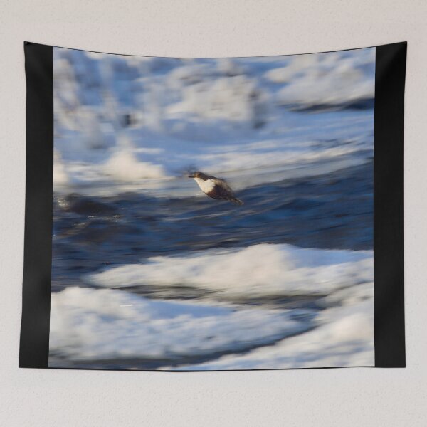 Item preview, Speed up. White-throated dipper designed and sold by Jouko Lehto Photography.