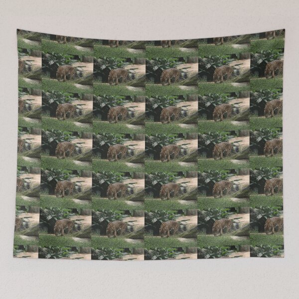 Item preview, Jaguar Prowl (Panthera onca) | Big Cat Photography designed and sold by cluelesspaula.