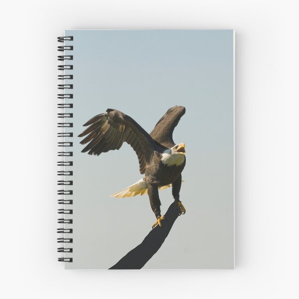 Item preview, Eagle crowing, showing off. designed and sold by sandyprints.