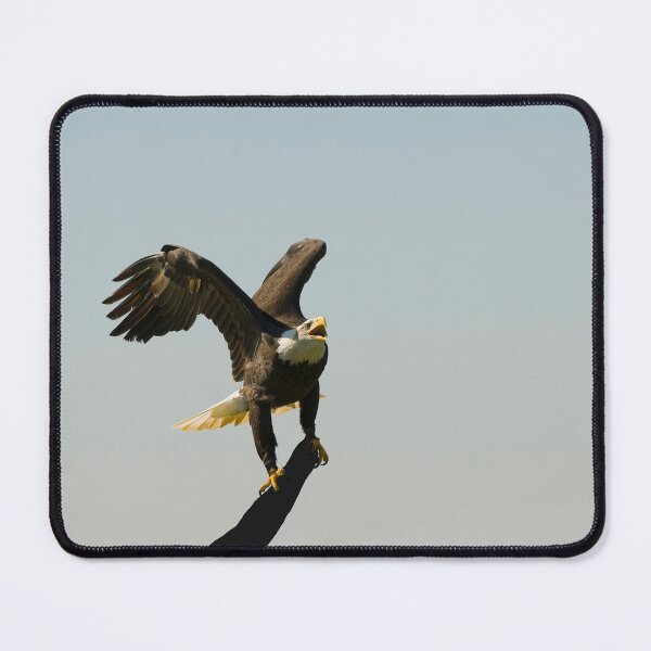 Item preview, Eagle crowing, showing off. designed and sold by sandyprints.