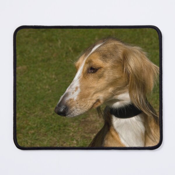 Artikelvorschau,  Saluki-Bräune mit Federn. entworfen und verkauft von sandyprints.