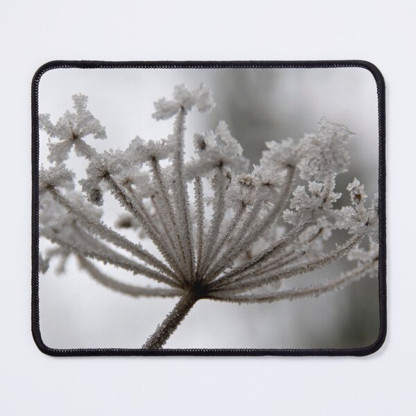 Item preview, Frozen seed head. designed and sold by sandyprints.