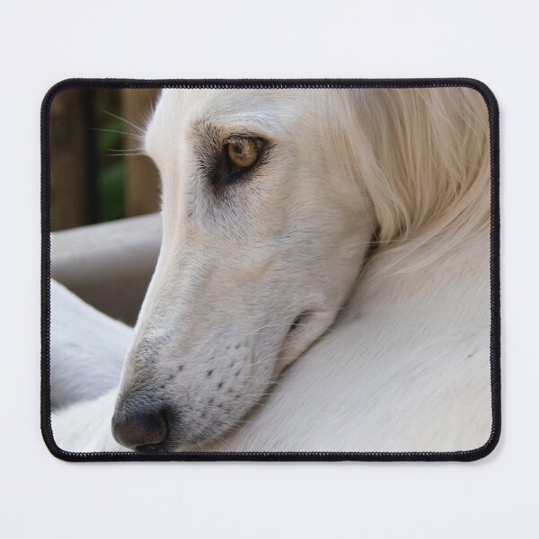 Artikelvorschau, Saluki-Träume, Windhund. entworfen und verkauft von sandyprints.