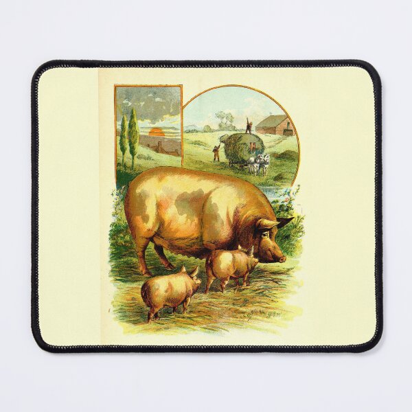 Item preview, Vintage illustration farm pig family designed and sold by VauKaArtShop.