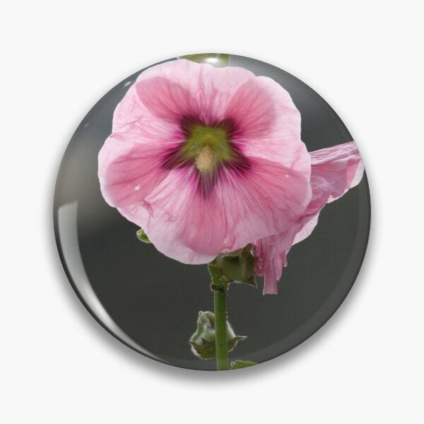 Item preview, Holly hock in summer sunshine. designed and sold by sandyprints.
