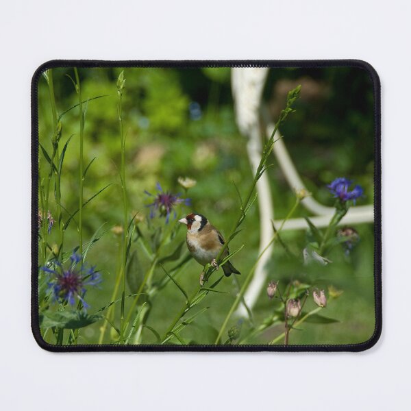 Item preview, Goldfinch, small native UK bird.  designed and sold by sandyprints.