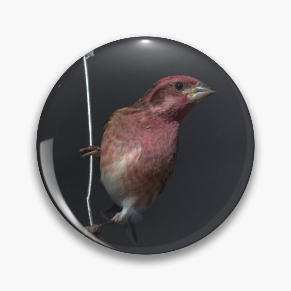 Item preview, Rose Finch designed and sold by Mike Cicero.