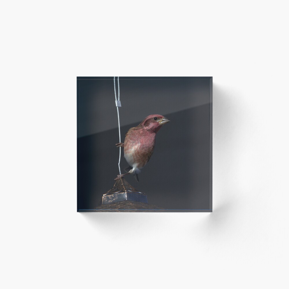 Item preview, Acrylic Block designed and sold by Riddick4x5.