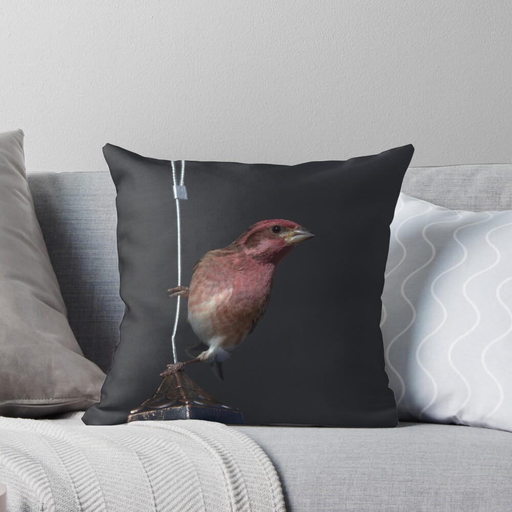Item preview, Throw Pillow designed and sold by Riddick4x5.