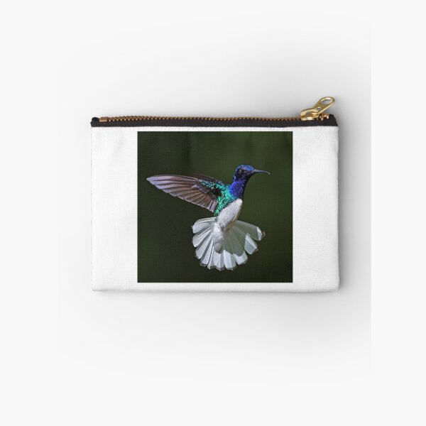 Item preview, Male White -necked Jacobin Hummingbird designed and sold by Anthony Goldman.