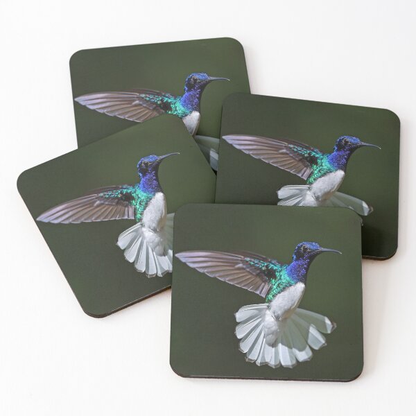 Item preview, Male White -necked Jacobin Hummingbird designed and sold by Anthony Goldman.