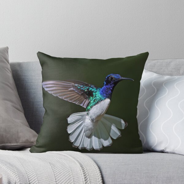 Item preview, Male White -necked Jacobin Hummingbird designed and sold by Anthony Goldman.