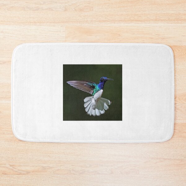 Item preview, Male White -necked Jacobin Hummingbird designed and sold by Anthony Goldman.
