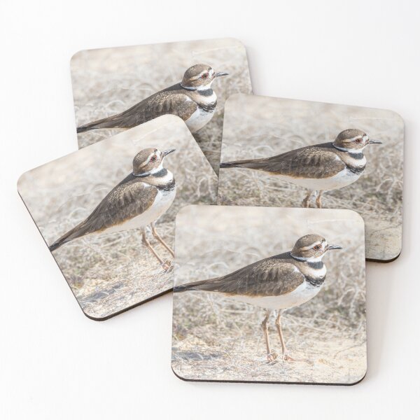 Item preview, Single Killdeer designed and sold by Debra Martz.