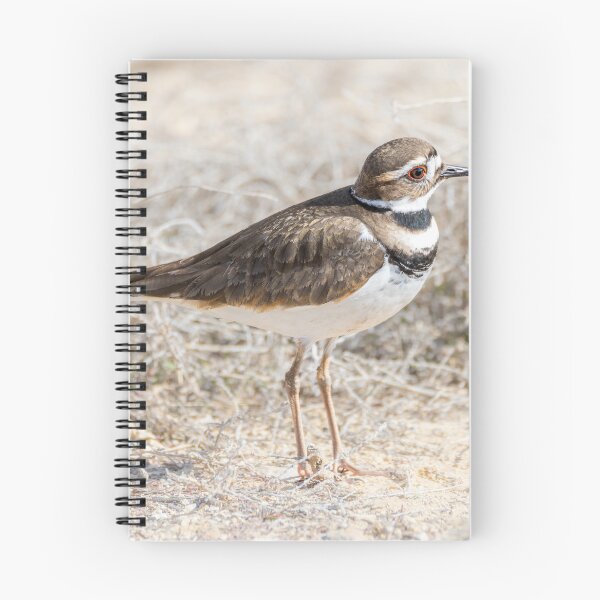 Item preview, Single Killdeer designed and sold by Debra Martz.