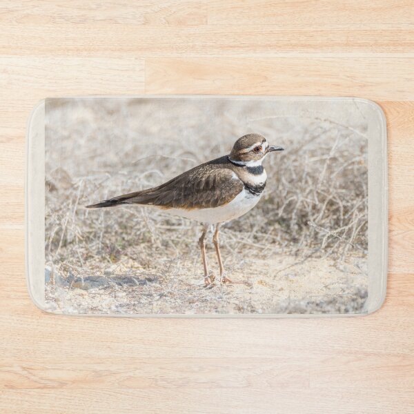 Item preview, Single Killdeer designed and sold by Debra Martz.