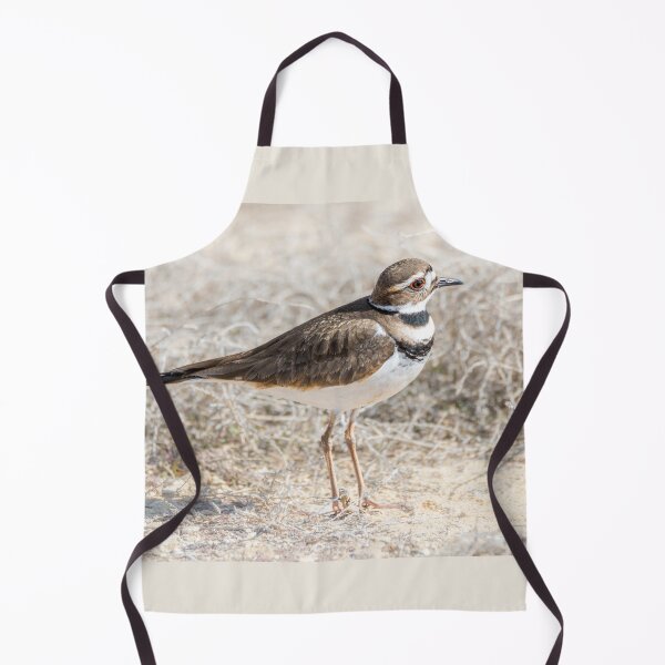 Item preview, Single Killdeer designed and sold by Debra Martz.