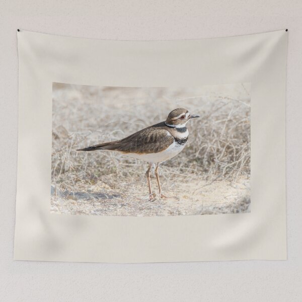 Item preview, Single Killdeer designed and sold by Debra Martz.