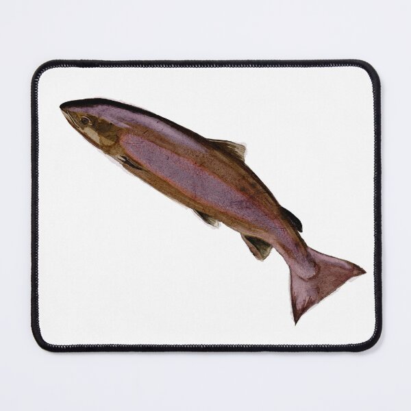 Item preview, Watercolour Scottish Salmon designed and sold by ichigobunny.