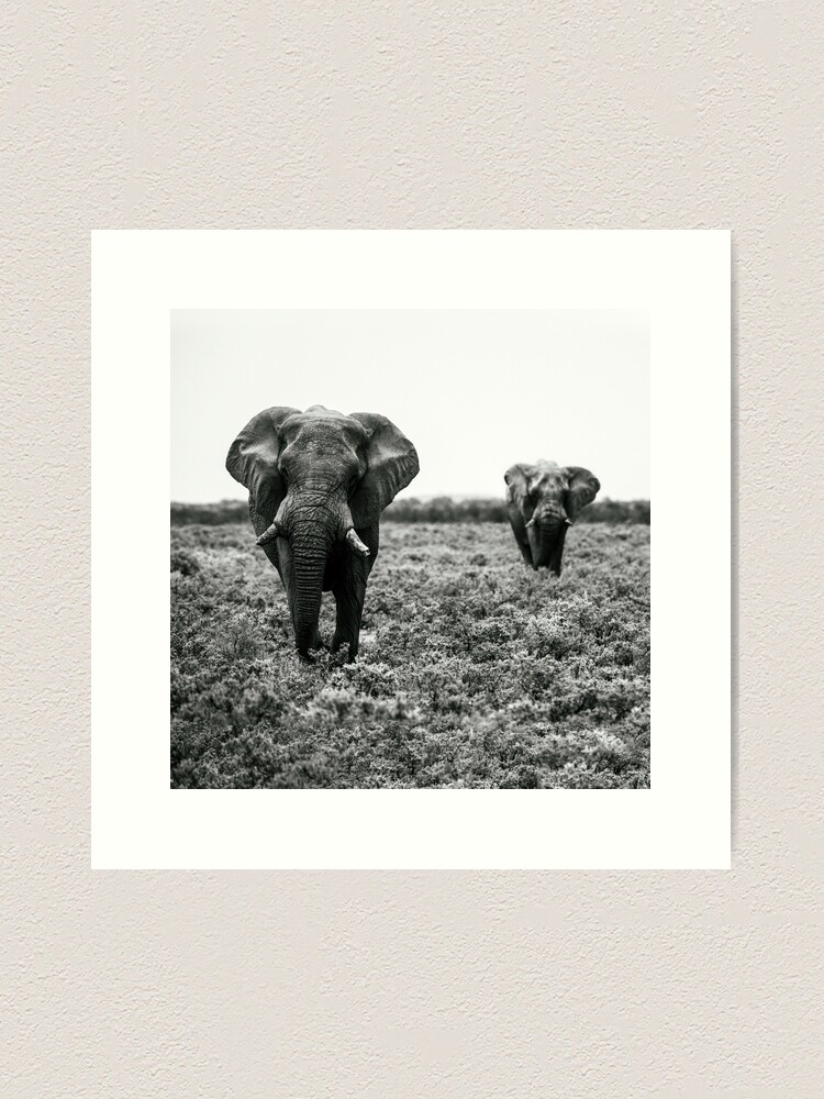 Thumbnail 1 von 3, Kunstdruck, Elefanten im Etosha Nationalpark Namibia designt und verkauft von Portalius.