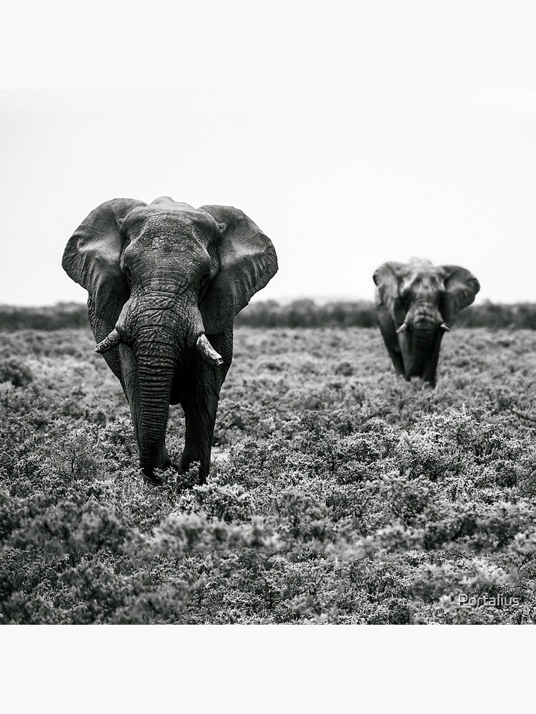 Thumbnail 3 von 3, Kunstdruck, Elefanten im Etosha Nationalpark Namibia designt und verkauft von Portalius.
