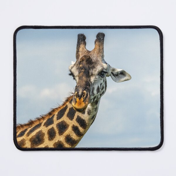 Item preview, Giraffe head designed and sold by sebph.