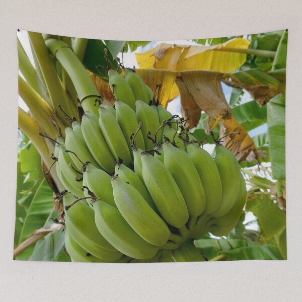 Item preview, Banana Harvest, near Burma or Myanmar, whatever! designed and sold by JonDelorme.