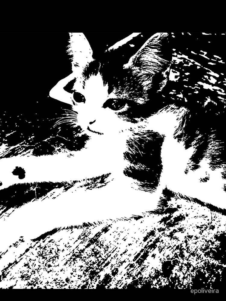 Little Kitten Cute Black and White Photography by epoliveira