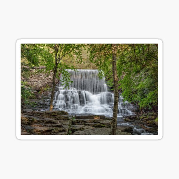 Stametz Dam Sticker