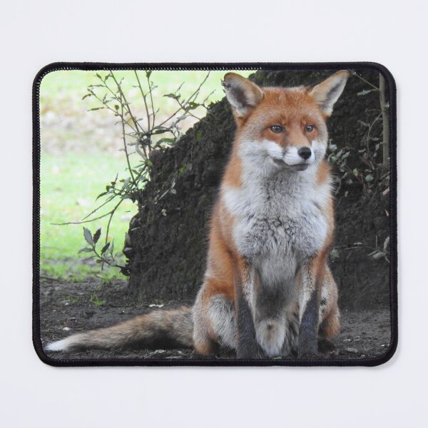 Item preview, Red Fox sitting at base of tree designed and sold by TwistedClassics.