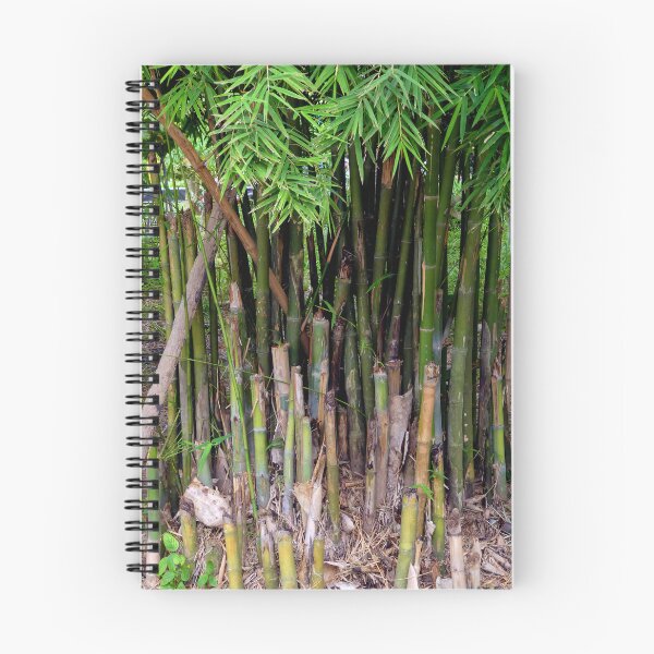 Item preview, Bamboo Harvest in sight of Myanmar designed and sold by JonDelorme.