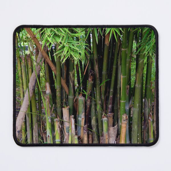 Item preview, Bamboo Harvest in sight of Myanmar designed and sold by JonDelorme.