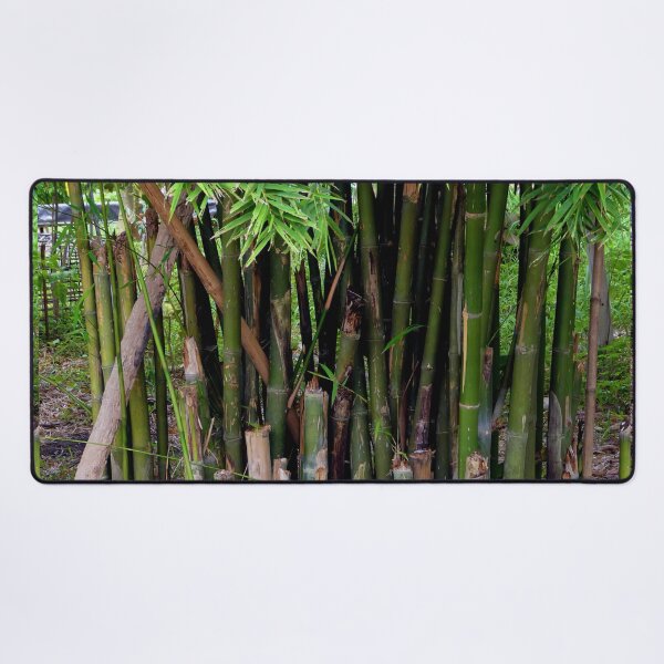Item preview, Bamboo Harvest in sight of Myanmar designed and sold by JonDelorme.