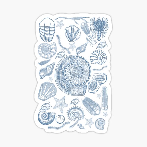 Artikel-Vorschau von Blue Fossil Medley: Vintage-Schätze im archäologischen Design, designt und verkauft von EducaPro.