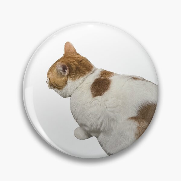 Item preview, Cat Called Pumpkin Stop and Smell the Flowers designed and sold by PumpkinsMomb.