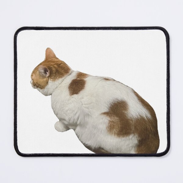 Item preview, Cat Called Pumpkin Stop and Smell the Flowers designed and sold by PumpkinsMomb.