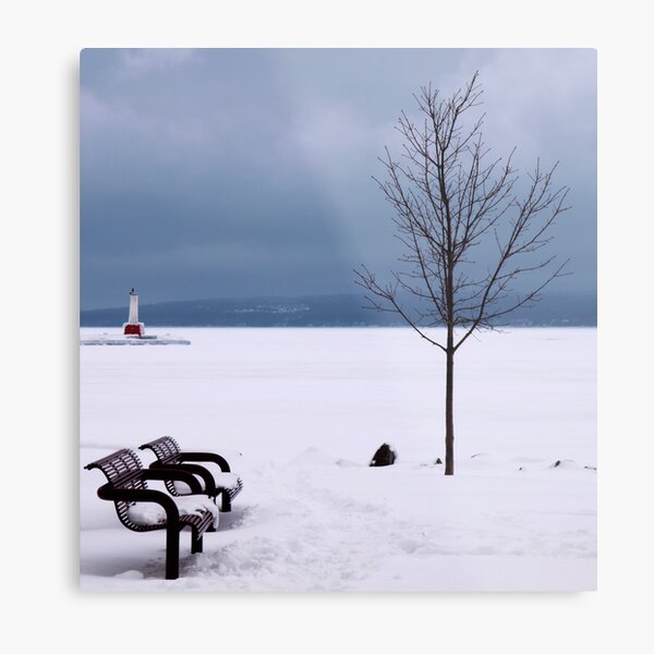 Petoskey Metal Print