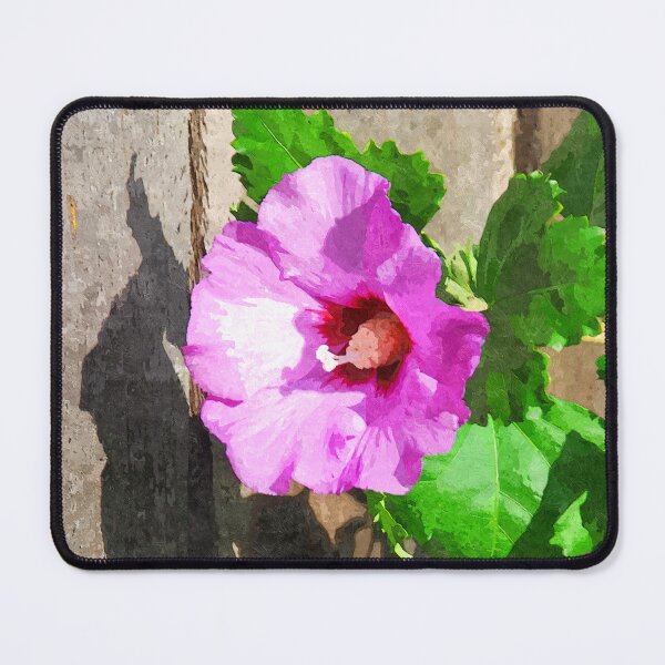 Item preview, Gorgeous Pink Hot Summer Flower in Full Bloom c2020 Steve Yellowbear designed and sold by SteveYellowbear.